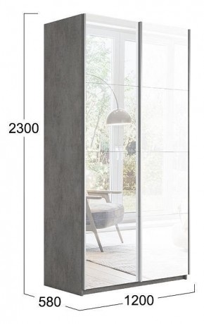 Шкаф-купе Траст СШК 2.120.60-13.15 в Ишиме - ishim.mebel24.online | фото 3