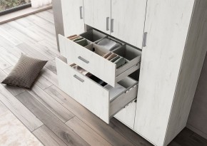 Шкаф Нельсон ШК-03 (Дуб Крафт белый/Дуб Крафт белый) в Ишиме - ishim.mebel24.online | фото 2