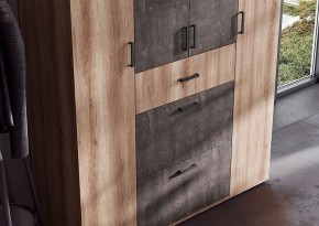 Шкаф Нельсон ШК-03 (Шкаф Дуб каньон/Железный камень) в Ишиме - ishim.mebel24.online | фото 5