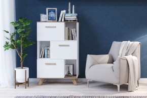 Шкаф низкий с нишами Вега Скандинавия в Ишиме - ishim.mebel24.online | фото 4