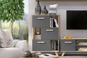 Шкаф низкий с нишами Вега Скандинавия в Ишиме - ishim.mebel24.online | фото 6