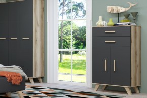 Шкаф низкий Вега Скандинавия в Ишиме - ishim.mebel24.online | фото 8