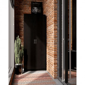 Шкаф ПЕГАС двухдверный, цвет Дуб Венге в Ишиме - ishim.mebel24.online | фото 4