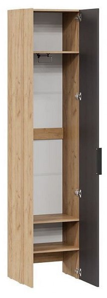 Шкаф платяной Асти в Ишиме - ishim.mebel24.online | фото 2