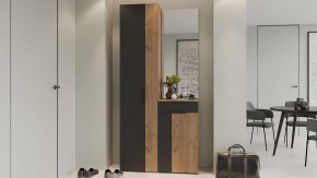 Шкаф платяной Асти в Ишиме - ishim.mebel24.online | фото 5