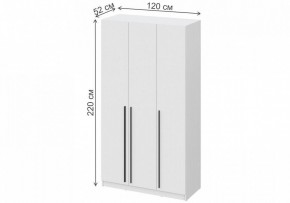 Шкаф платяной Бирма ШК-1200 в Ишиме - ishim.mebel24.online | фото 4