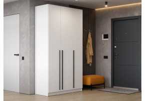 Шкаф платяной Бирма ШК-1200 в Ишиме - ishim.mebel24.online | фото 5
