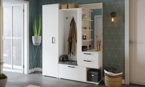 Шкаф платяной Эрика в Ишиме - ishim.mebel24.online | фото 3