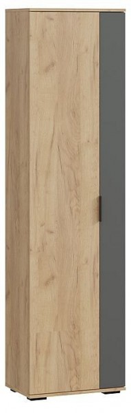 Шкаф платяной Эвита в Ишиме - ishim.mebel24.online | фото