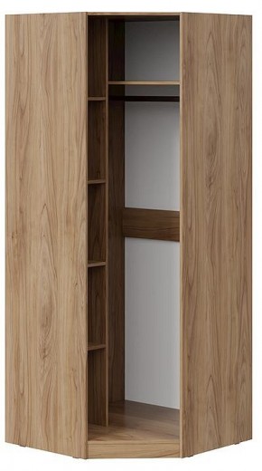 Шкаф платяной Глосс СМ-319.07.312 в Ишиме - ishim.mebel24.online | фото 2