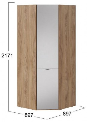 Шкаф платяной Глосс СМ-319.07.312 в Ишиме - ishim.mebel24.online | фото 4