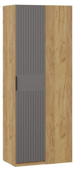 Шкаф платяной Хилтон в Ишиме - ishim.mebel24.online | фото