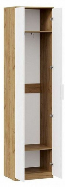 Шкаф платяной Хилтон Исп. 2 в Ишиме - ishim.mebel24.online | фото 2