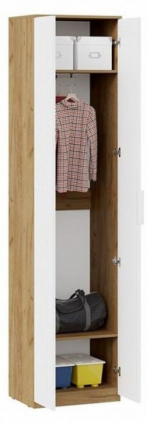 Шкаф платяной Хилтон Исп. 2 в Ишиме - ishim.mebel24.online | фото 3