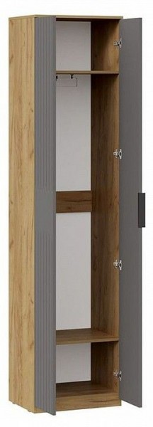 Шкаф платяной Хилтон Исп. 2 в Ишиме - ishim.mebel24.online | фото 2
