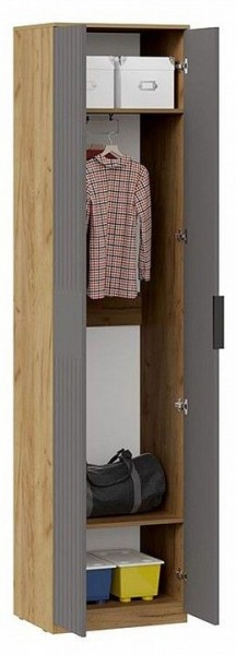 Шкаф платяной Хилтон Исп. 2 в Ишиме - ishim.mebel24.online | фото 3