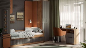 Шкаф платяной Хилтон Исп. 2 в Ишиме - ishim.mebel24.online | фото 5