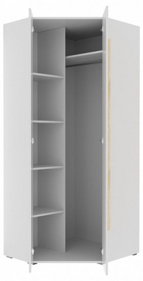 Шкаф платяной Куба 1725.М3 в Ишиме - ishim.mebel24.online | фото 11