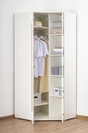 Шкаф платяной Куба 1725.М3 в Ишиме - ishim.mebel24.online | фото 8