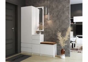 Шкаф платяной Мадера в Ишиме - ishim.mebel24.online | фото 4