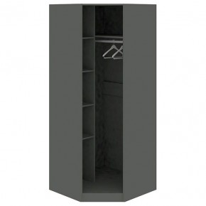 Шкаф платяной Наоми СМ-208.07.07 R в Ишиме - ishim.mebel24.online | фото 2