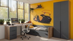 Шкаф платяной Порто СМ-393.07.223 в Ишиме - ishim.mebel24.online | фото 4
