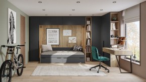 Шкаф платяной Порто СМ-393.07.223 в Ишиме - ishim.mebel24.online | фото 6