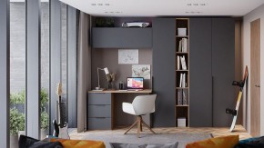 Шкаф платяной Порто СМ-393.07.223 в Ишиме - ishim.mebel24.online | фото 7