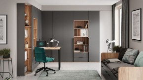 Шкаф платяной Порто СМ-393.07.223 в Ишиме - ishim.mebel24.online | фото 9