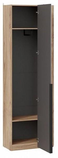 Шкаф платяной Порто СМ-393.07.232 в Ишиме - ishim.mebel24.online | фото 2