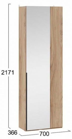 Шкаф платяной Порто СМ-393.07.232 в Ишиме - ishim.mebel24.online | фото 4