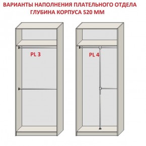 Шкаф распашной серия «ЗЕВС» (PL3/С1/PL2) в Ишиме - ishim.mebel24.online | фото 10