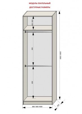 Шкаф распашной серия «ЗЕВС» (PL3/С1/PL2) в Ишиме - ishim.mebel24.online | фото 12