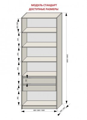 Шкаф распашной серия «ЗЕВС» (PL3/С1/PL2) в Ишиме - ishim.mebel24.online | фото 13