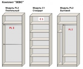 Шкаф распашной серия «ЗЕВС» (PL3/С1/PL2) в Ишиме - ishim.mebel24.online | фото 2