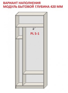 Шкаф распашной серия «ЗЕВС» (PL3/С1/PL2) в Ишиме - ishim.mebel24.online | фото 4