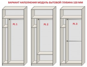 Шкаф распашной серия «ЗЕВС» (PL3/С1/PL2) в Ишиме - ishim.mebel24.online | фото 5