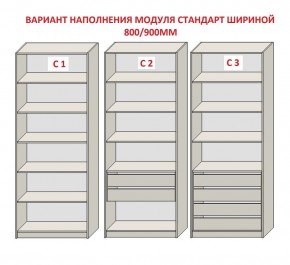 Шкаф распашной серия «ЗЕВС» (PL3/С1/PL2) в Ишиме - ishim.mebel24.online | фото 6