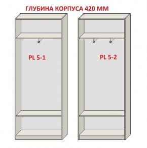 Шкаф распашной серия «ЗЕВС» (PL3/С1/PL2) в Ишиме - ishim.mebel24.online | фото 8