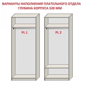 Шкаф распашной серия «ЗЕВС» (PL3/С1/PL2) в Ишиме - ishim.mebel24.online | фото 9