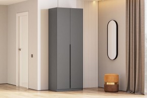 Шкаф ШК-5 (800) Графит серый в Ишиме - ishim.mebel24.online | фото 1