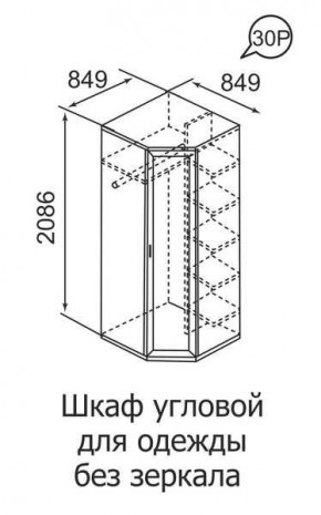 Шкаф угловой для одежды Ника-Люкс 30 без зеркал в Ишиме - ishim.mebel24.online | фото 3