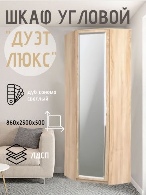 Шкаф угловой Дуэт Люкс с зеркалом в Ишиме - ishim.mebel24.online | фото 1