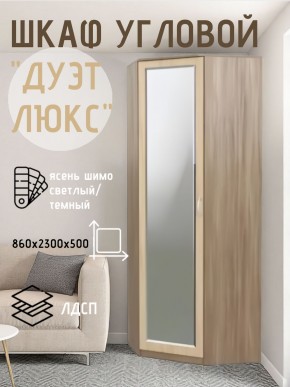 Шкаф угловой Дуэт Люкс с зеркалом в Ишиме - ishim.mebel24.online | фото 3