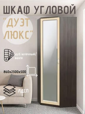 Шкаф угловой Дуэт Люкс с зеркалом в Ишиме - ishim.mebel24.online | фото 5