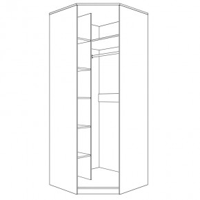 Шкаф угловой (корпус) Парма Нео в Ишиме - ishim.mebel24.online | фото 4