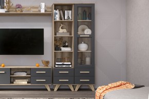 Шкаф-витрина 450 Вега Скандинавия в Ишиме - ishim.mebel24.online | фото 3