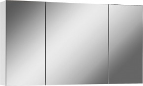 Шкаф-зеркало Мечта 100 АЙСБЕРГ (DM2322HZ) в Ишиме - ishim.mebel24.online | фото 1