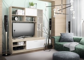 СОФИ Гостиная (модульная) дуб сонома/белый в Ишиме - ishim.mebel24.online | фото 26