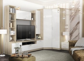 СОФИ Гостиная (модульная) дуб сонома/белый в Ишиме - ishim.mebel24.online | фото 27